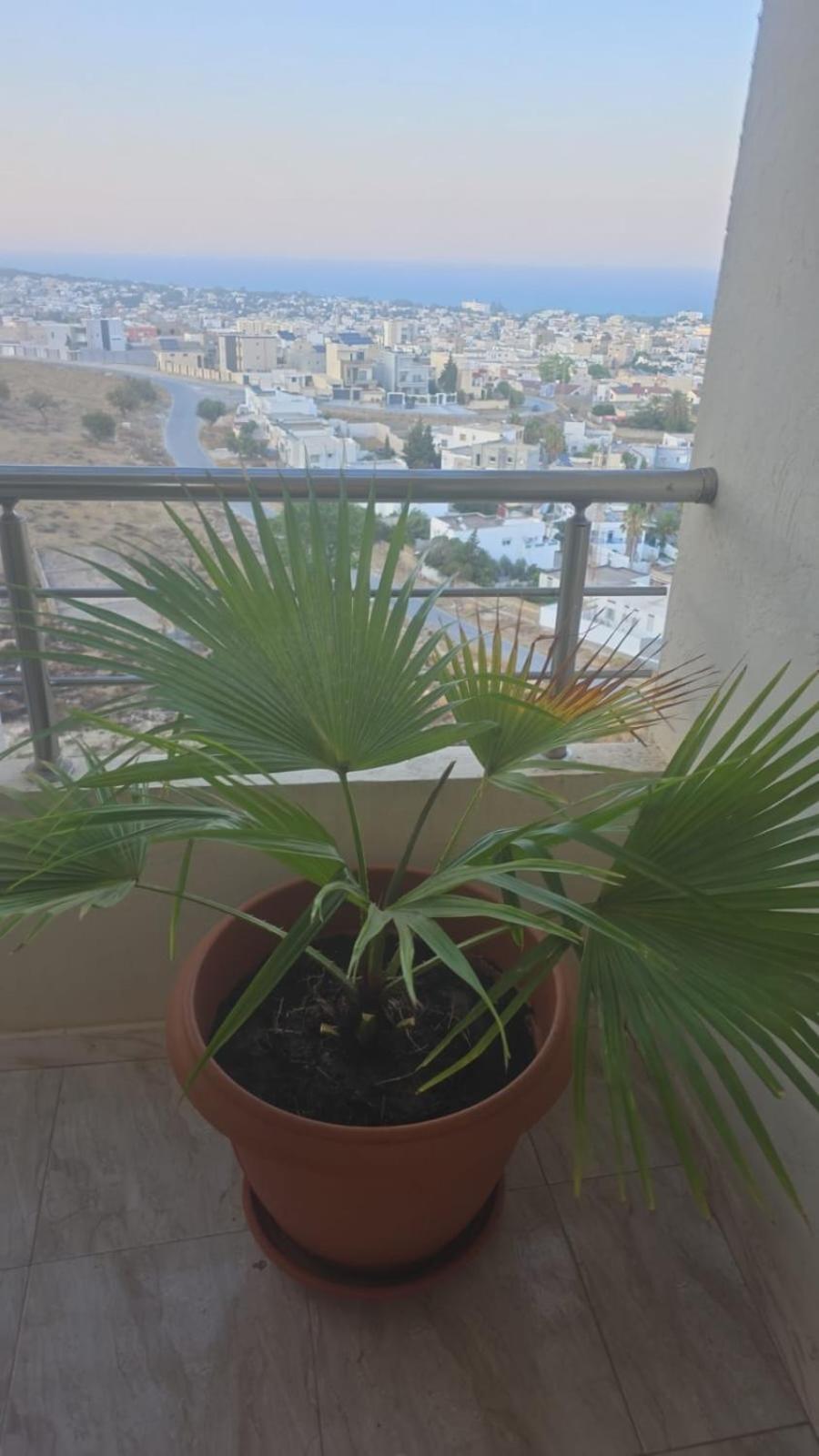 Apartmán Haut Standing Vue Exceptionnelle Bizerte Tunisie Exteriér fotografie